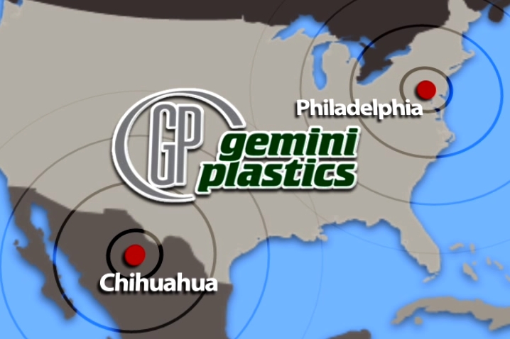 Gemini Plastics Plants